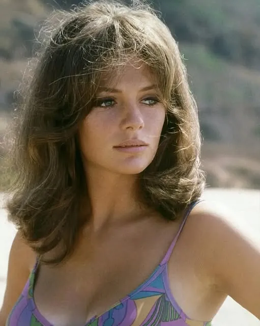 Before she became a ’70s screen icon, Jacqueline Bisset stunned audiences with a breakout role that changed everything—what happened on set with Steve McQueen still sparks conversations today…