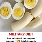 Lose bad fat with this military diet