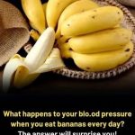 What happens to your blo.od pressure when you eat bananas every day?