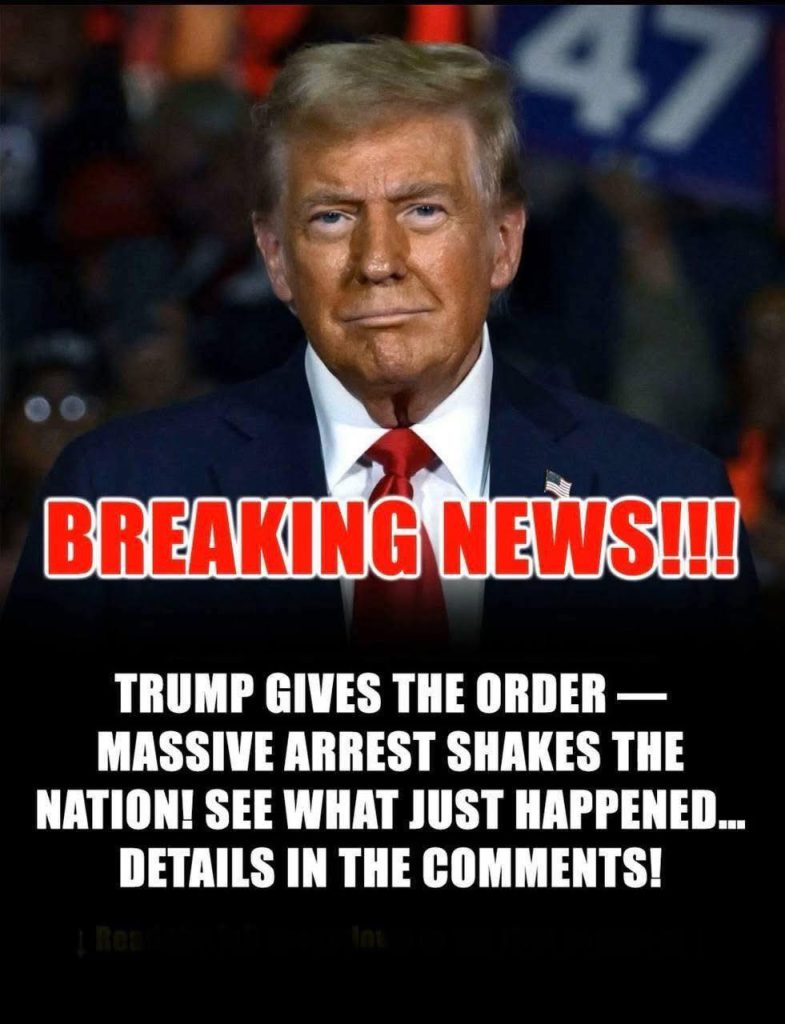 Trump Admin Sending Hundreds of Marines to Florida to Help ICE