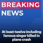 Twelve dead including famous singer in plane crash off remote island