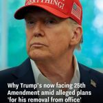 Why Trump is now under pressure from the 25th Amendment after claims of a removal plan