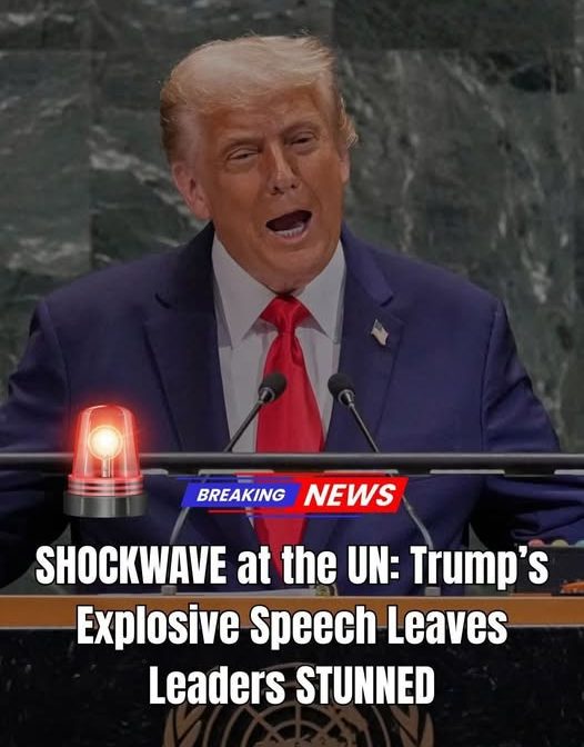 Trump Rips Countries Allowing ‘Open Borders’ During Fiery UN Speech