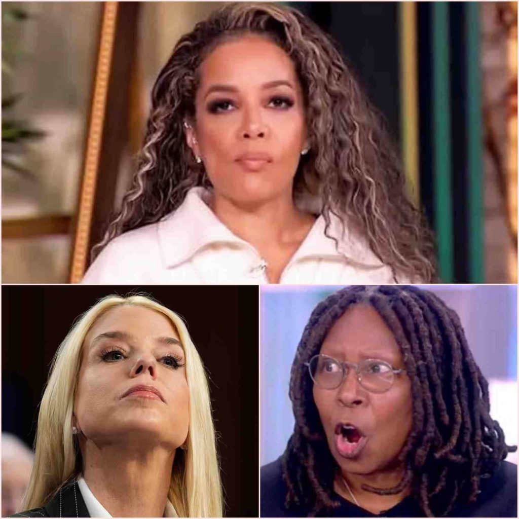 What began as a routine segment on The View quickly descended into pandemonium when Pam Bondi dropped a single line that completely flipped the show upside down.