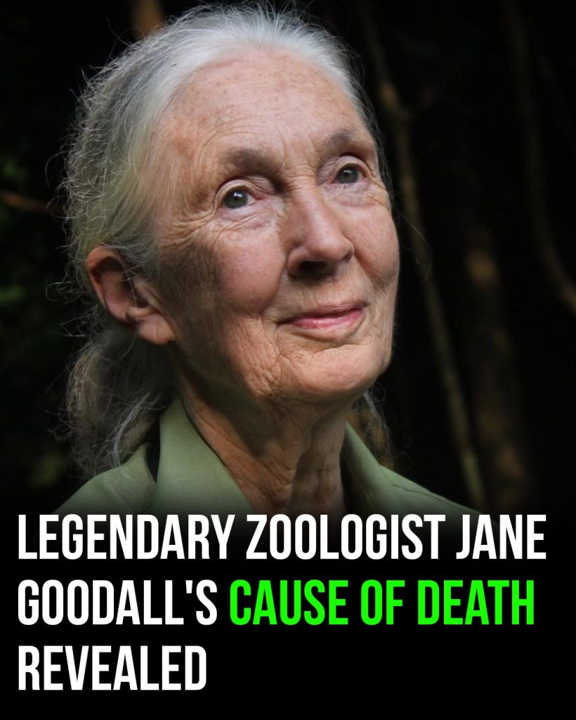 Cause of Death Revealed for Iconic Zoologist Jane Goodall