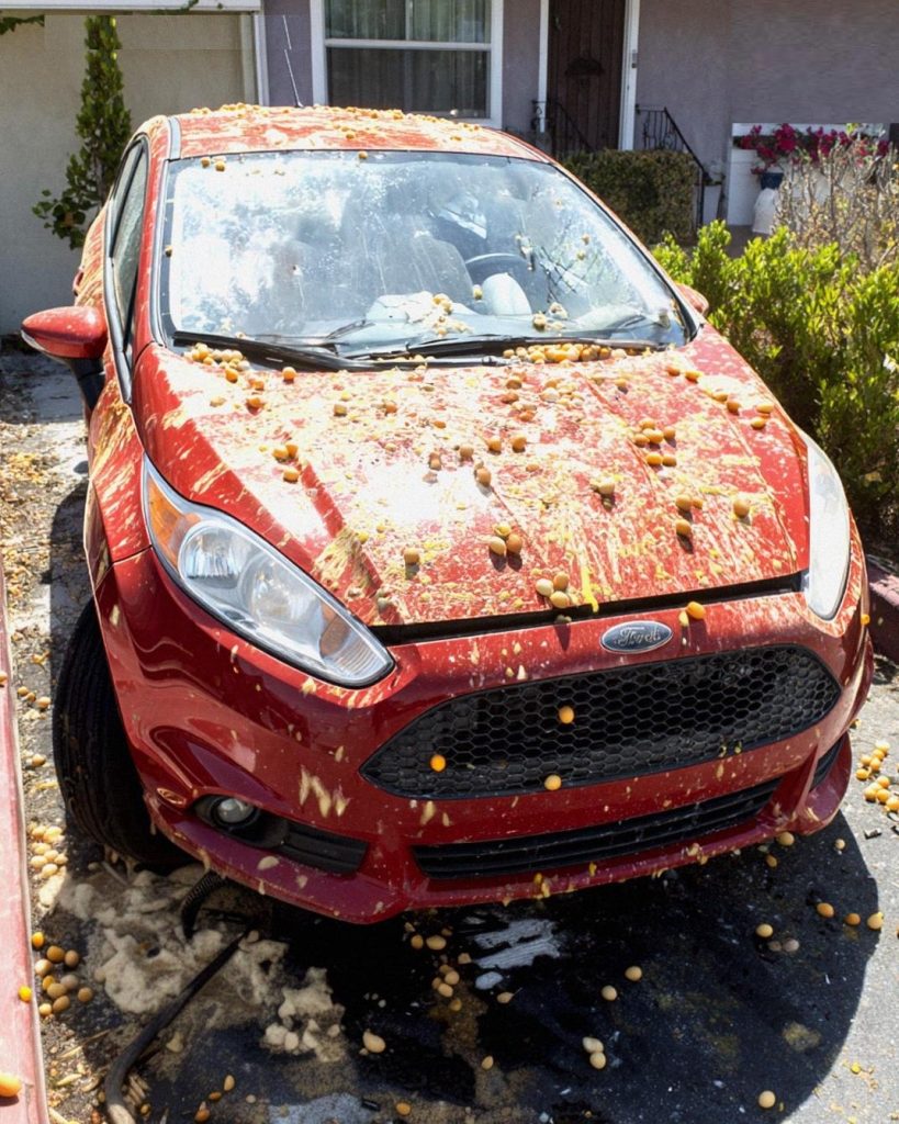 “He Egged My Car for Blocking His Halloween Decorations – I Got Him Back with a Twist He’ll Never Forget”
