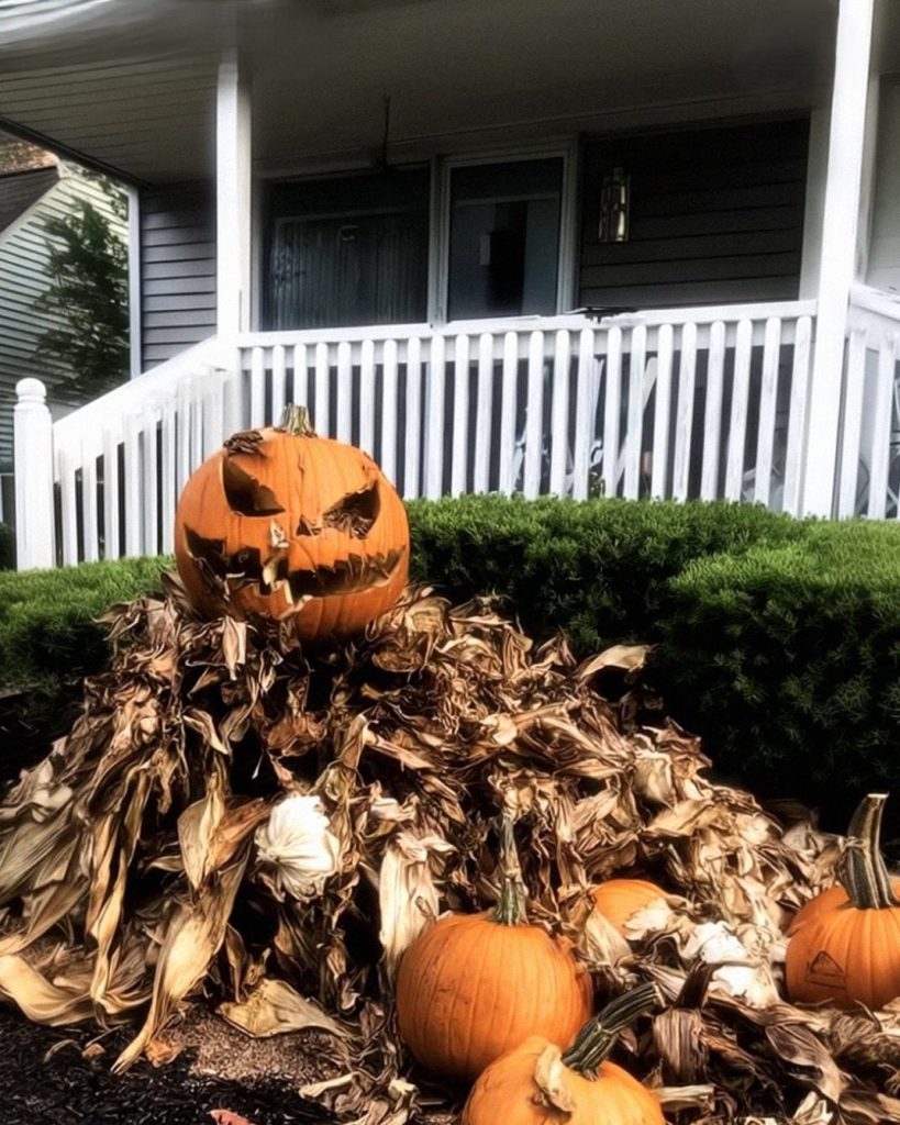 My Neighbors Threw Their Rotten Halloween Decorations in My Yard So I Would Take Them Away – But I Taught Them a Lesson