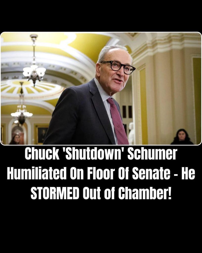 Schumer and Moreno Clash Over ACA Subsidy Extension Amid Prolonged Government Shutdown