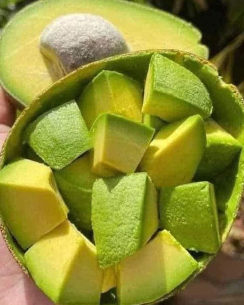 Doctors reveal that eating avocado causes in…